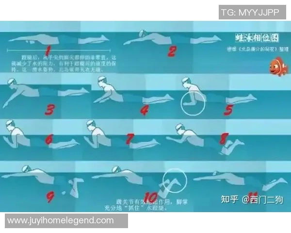 自由泳呼吸技巧全面解析提升游泳表现的关键要素与训练方法 自由泳呼吸技巧全面解析提升游泳表现的关键要素与训练方法